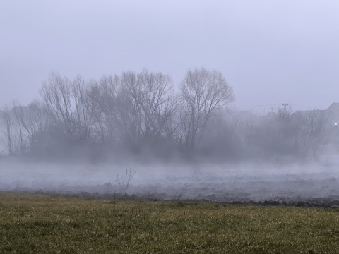 pic