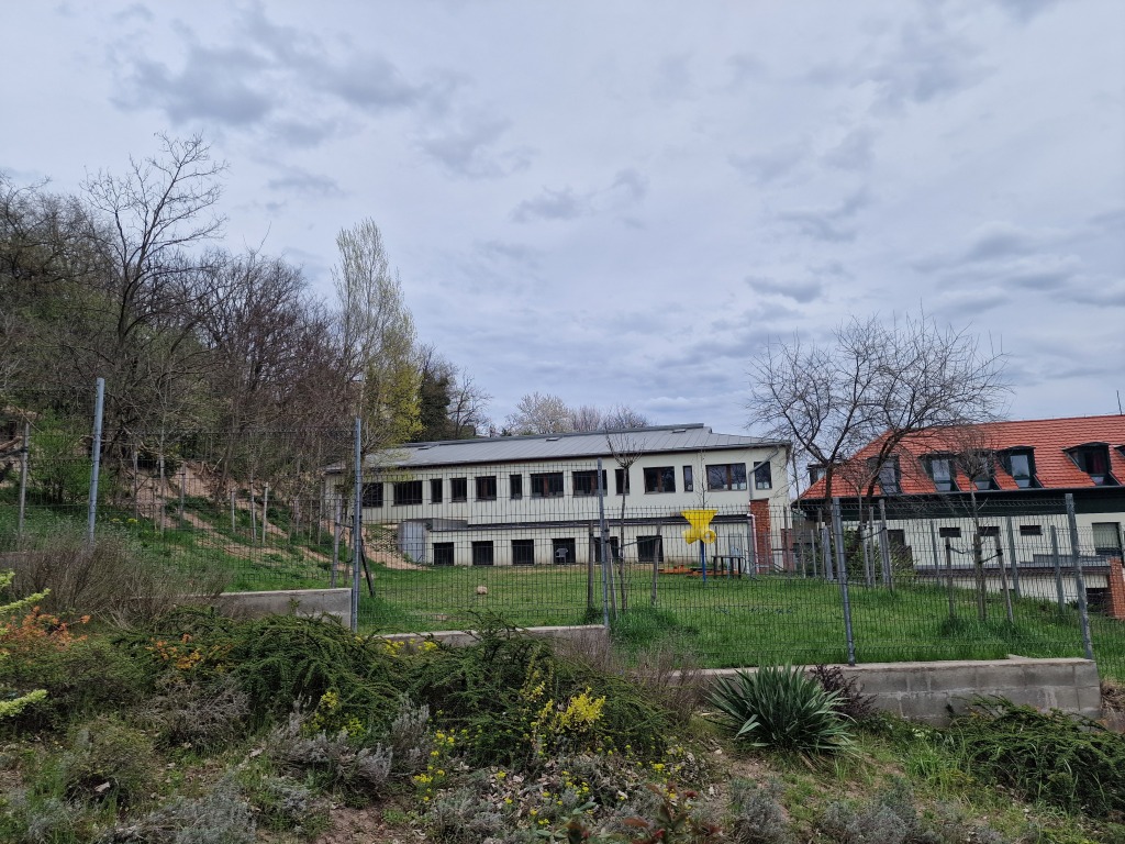 beillesztett kép
