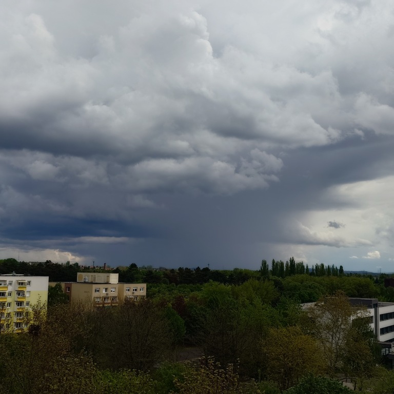 beillesztett kép