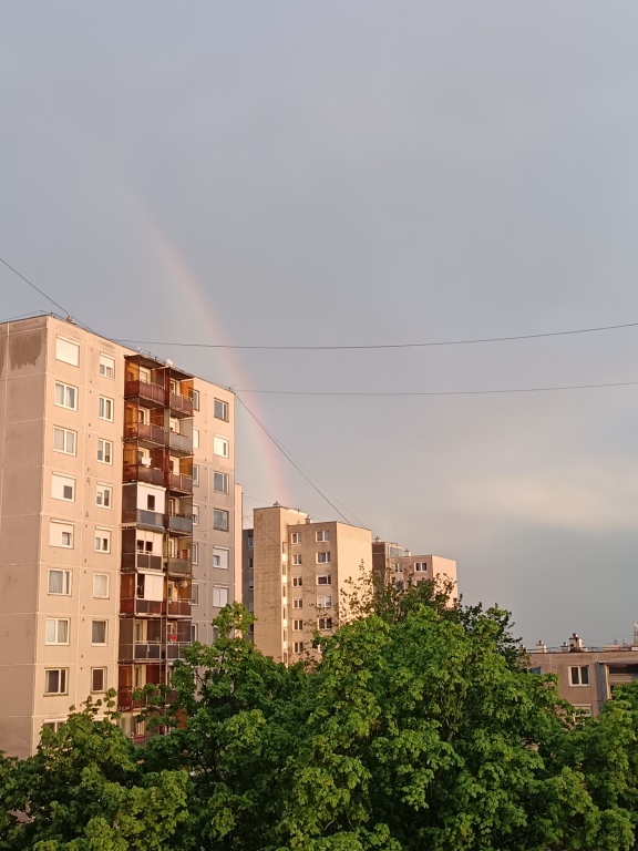 beillesztett kép