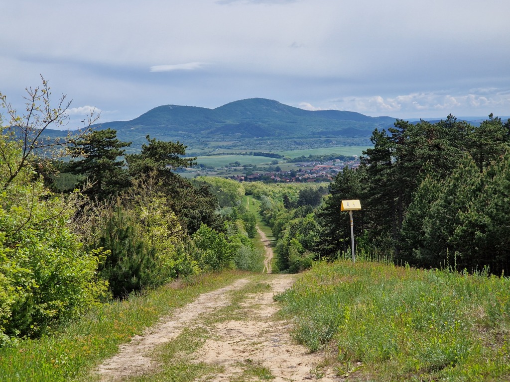 beillesztett kép