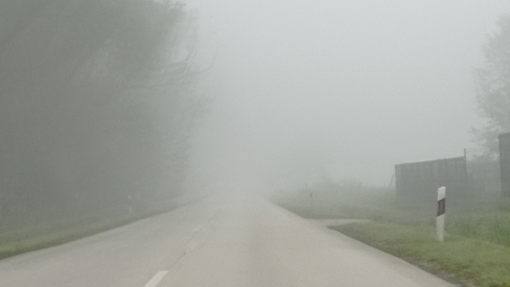 beillesztett kép