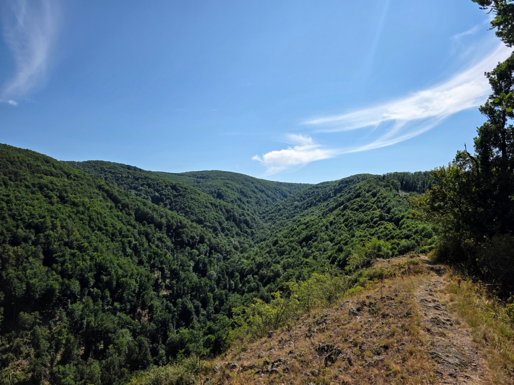 beillesztett kép