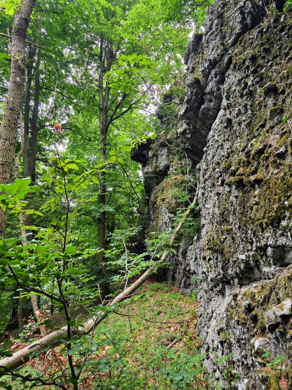 beillesztett kép