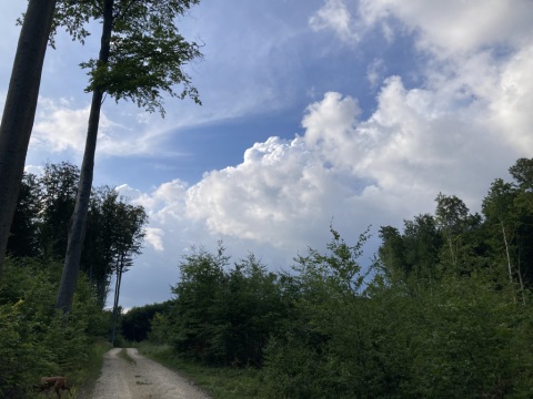 pic