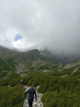 pic