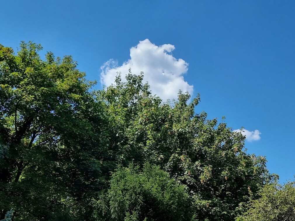 beillesztett kép