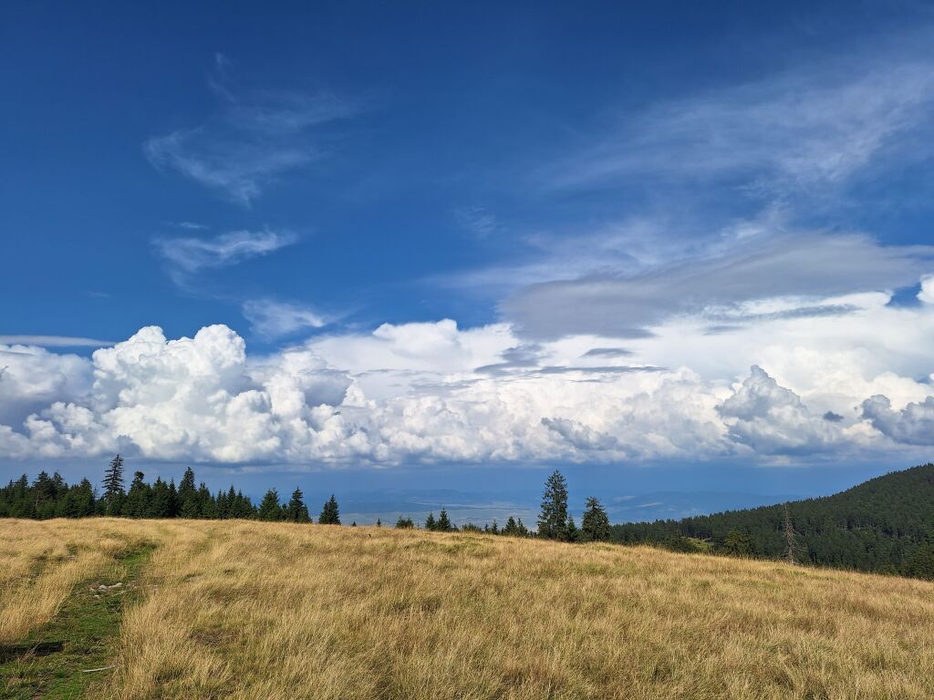beillesztett kép