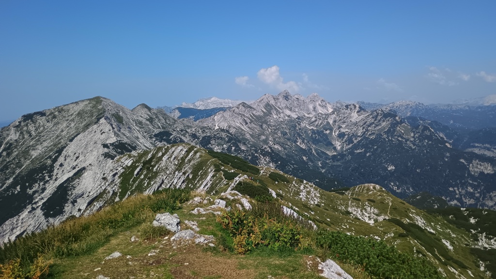 beillesztett kép