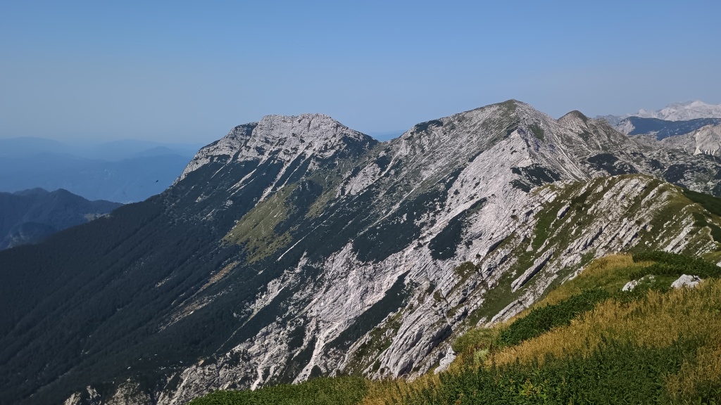 beillesztett kép