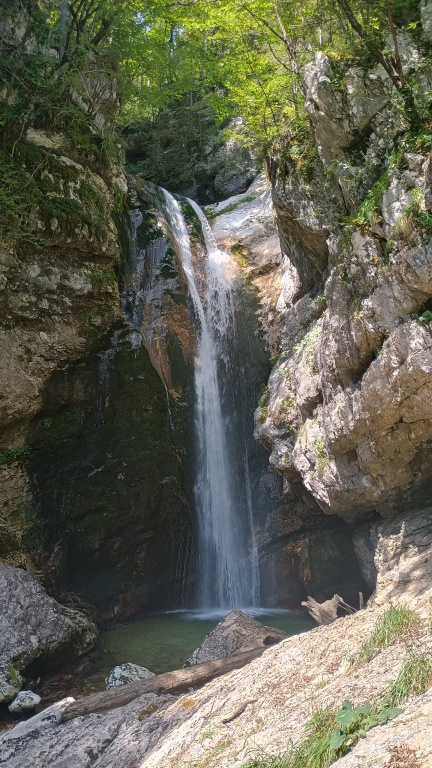 beillesztett kép
