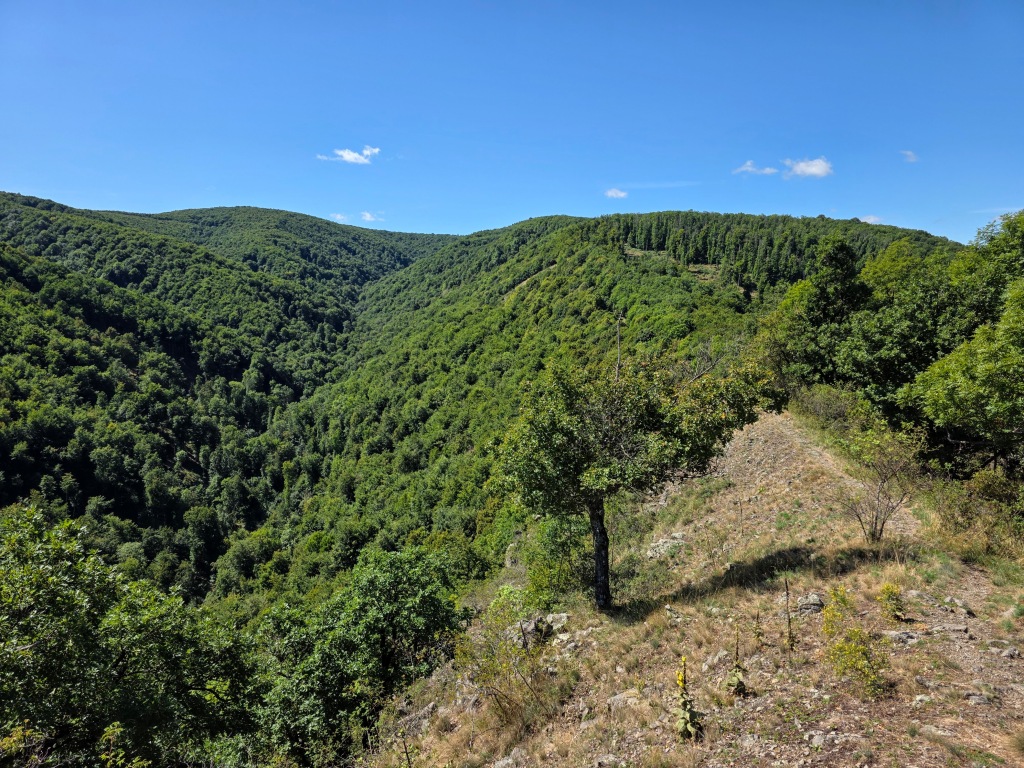 beillesztett kép