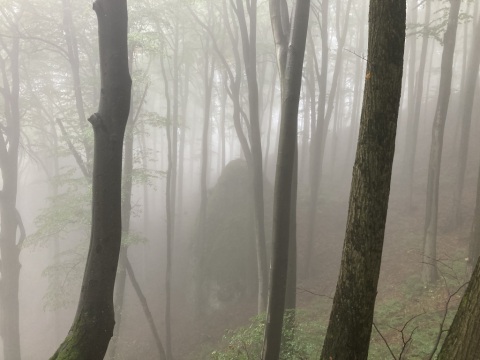 pic