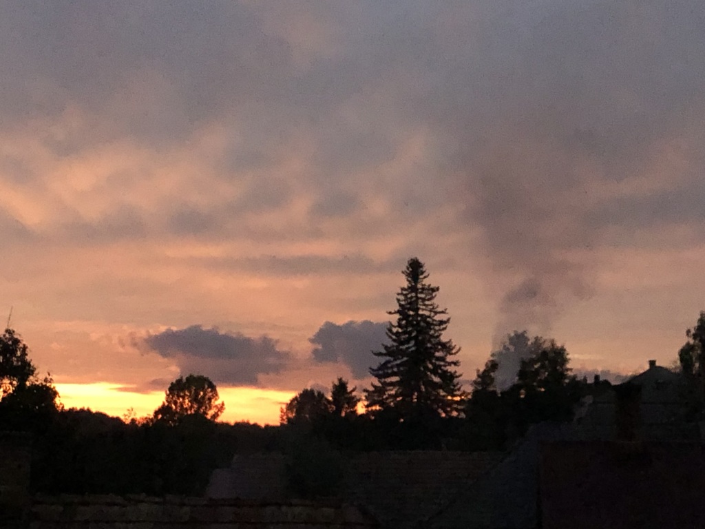 beillesztett kép