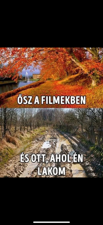 beillesztett kép