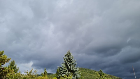 pic