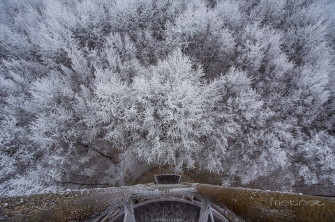 pic