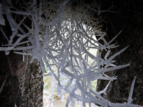 pic