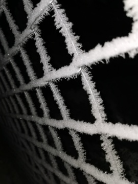 pic