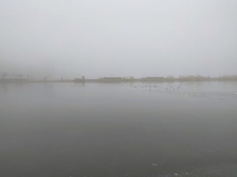 pic
