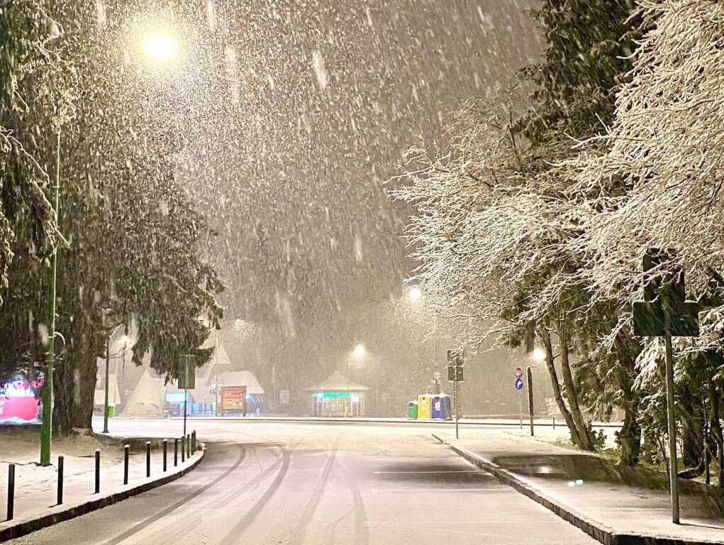 beillesztett kép
