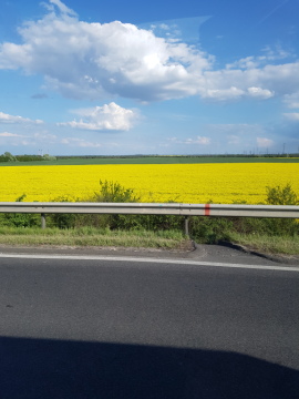 pic