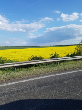pic