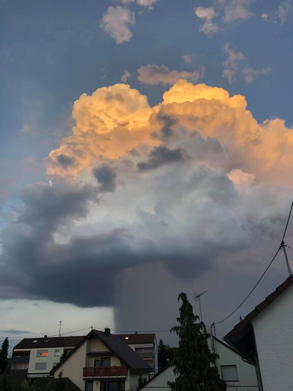 beillesztett kép