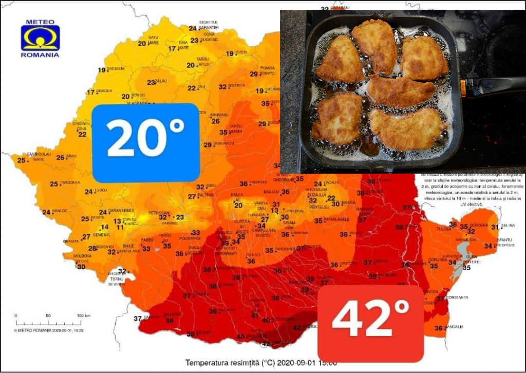 beillesztett kép