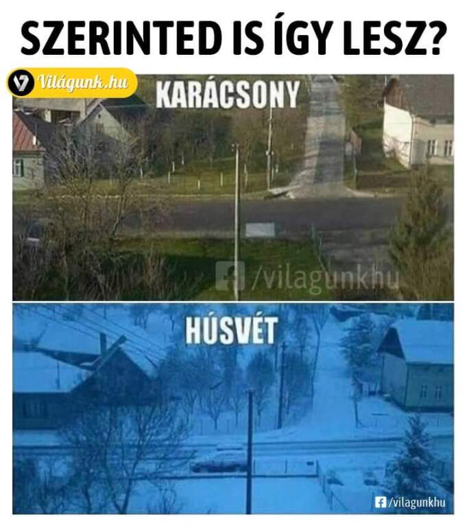 beillesztett kép