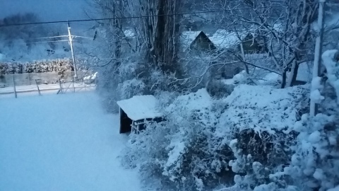 pic