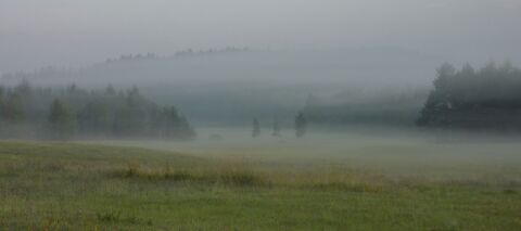 pic