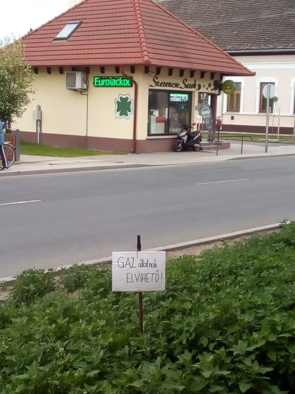 beillesztett kép