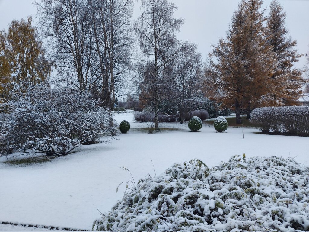 beillesztett kép
