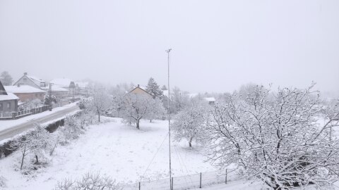 pic