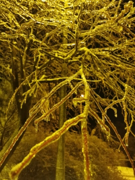 pic