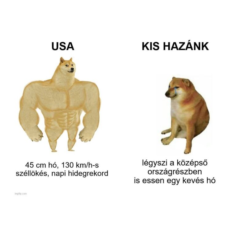 beillesztett kép