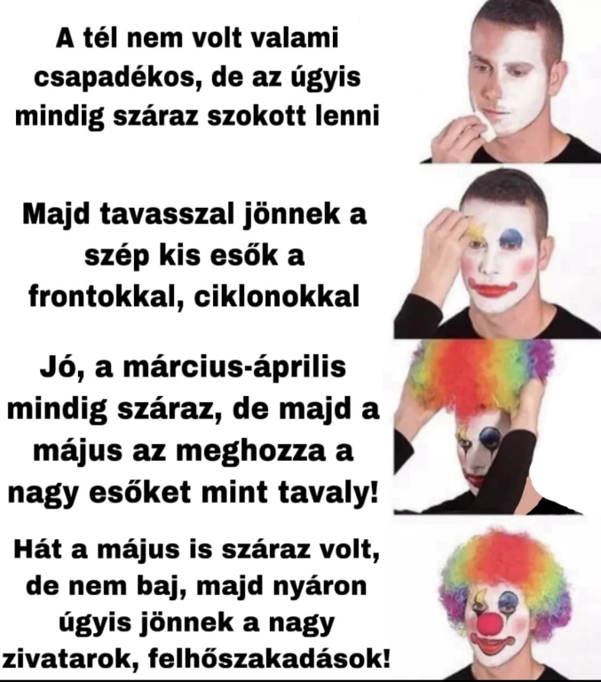 beillesztett kép