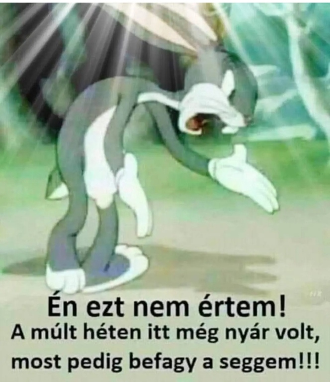 beillesztett kép