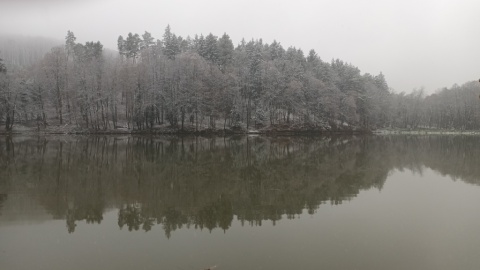 pic