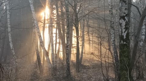 pic
