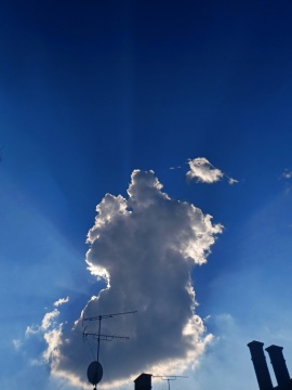 pic